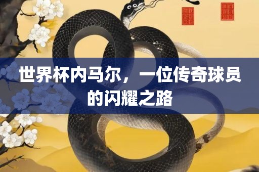 世界杯内马尔，一位传奇球员的闪耀之路