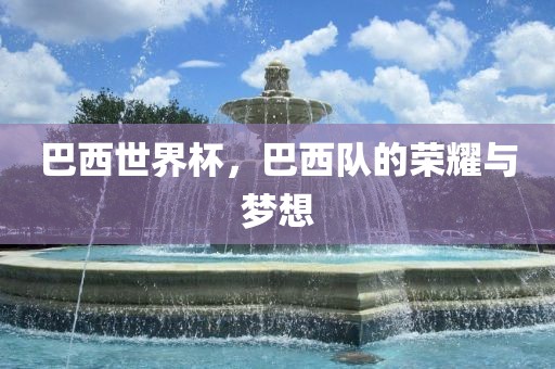 巴西世界杯，巴西队的荣耀与梦想