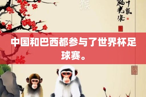 中国和巴西都参与了世界杯足球赛。
