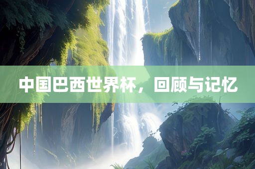 中国巴西世界杯，回顾与记忆