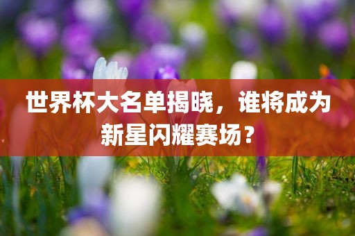 世界杯大名单揭晓，谁将成为新星闪耀赛场？