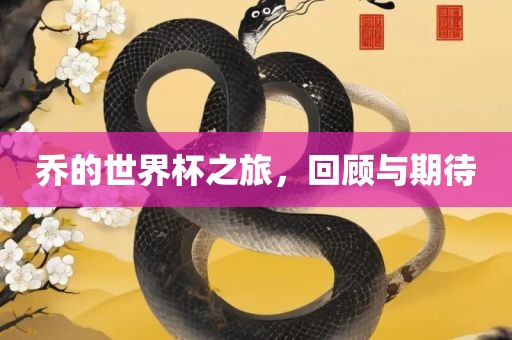 乔的世界杯之旅，回顾与期待