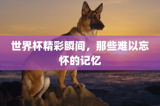 世界杯精彩瞬间，那些难以忘怀的记忆