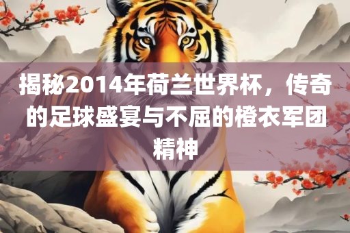 揭秘2014年荷兰世界杯，传奇的足球盛宴与不屈的橙衣军团精神