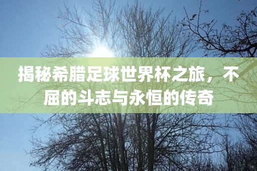 揭秘希腊足球世界杯之旅，不屈的斗志与永恒的传奇