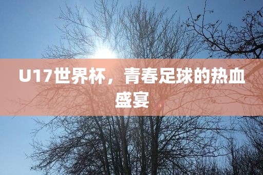 U17世界杯，青春足球的热血盛宴