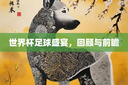 世界杯足球盛宴，回顾与前瞻