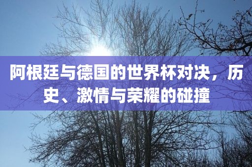 阿根廷与德国的世界杯对决，历史、激情与荣耀的碰撞
