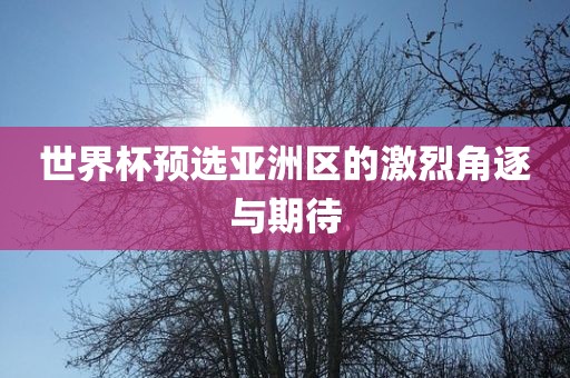 世界杯预选亚洲区的激烈角逐与期待