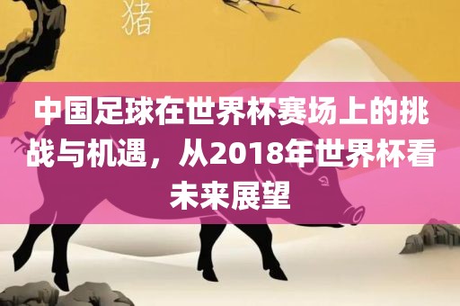 中国足球在世界杯赛场上的挑战与机遇，从2018年世界杯看未来展望