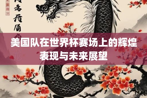 美国队在世界杯赛场上的辉煌表现与未来展望