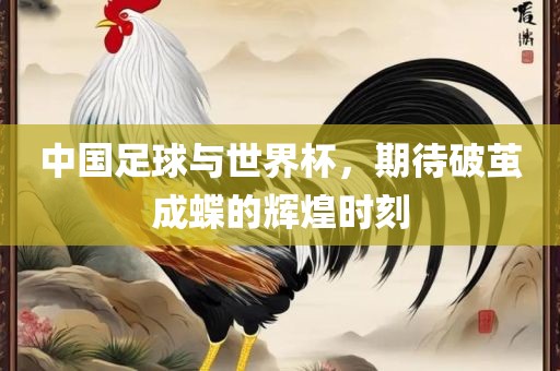 中国足球与世界杯，期待破茧成蝶的辉煌时刻
