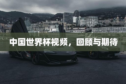 中国世界杯视频，回顾与期待