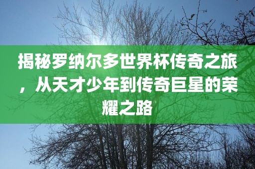揭秘罗纳尔多世界杯传奇之旅，从天才少年到传奇巨星的荣耀之路
