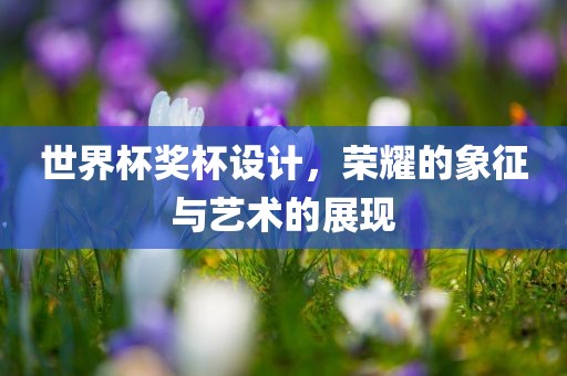 世界杯奖杯设计，荣耀的象征与艺术的展现