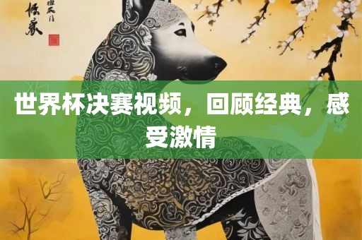 世界杯决赛视频，回顾经典，感受激情