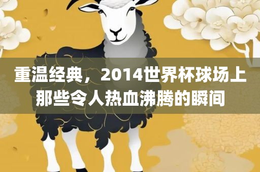 重温经典，2014世界杯球场上那些令人热血沸腾的瞬间