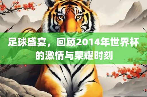 足球盛宴，回顾2014年世界杯的激情与荣耀时刻