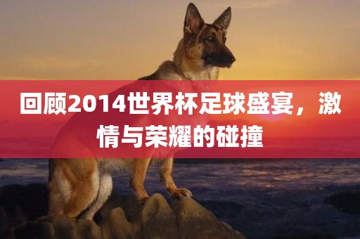 回顾2014世界杯足球盛宴，激情与荣耀的碰撞