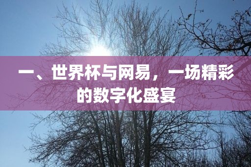 一、世界杯与网易，一场精彩的数字化盛宴