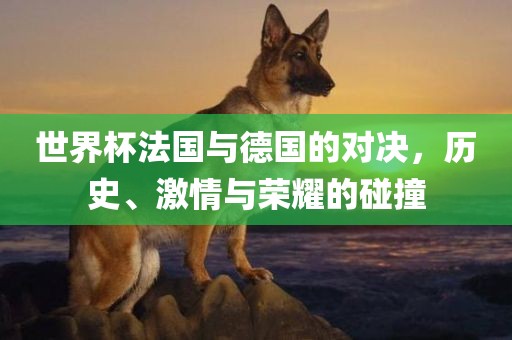 世界杯法国与德国的对决，历史、激情与荣耀的碰撞
