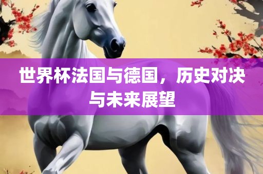 世界杯法国与德国，历史对决与未来展望
