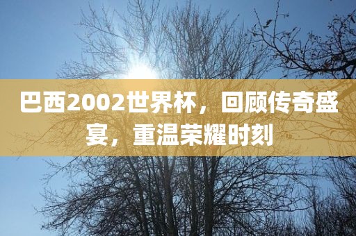 巴西2002世界杯，回顾传奇盛宴，重温荣耀时刻