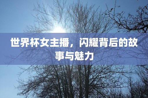 世界杯女主播，闪耀背后的故事与魅力