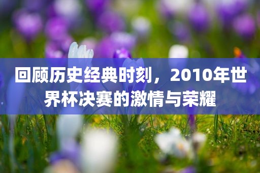 回顾历史经典时刻，2010年世界杯决赛的激情与荣耀