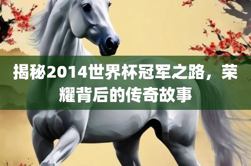 揭秘2014世界杯冠军之路，荣耀背后的传奇故事