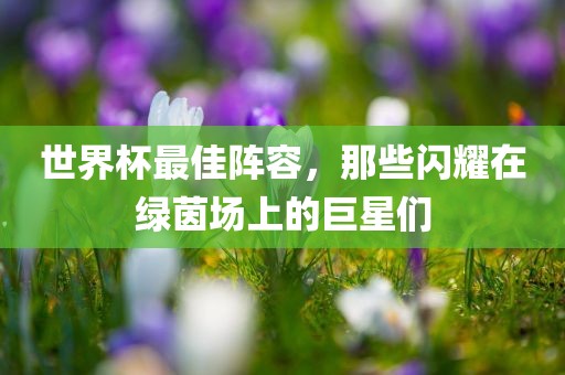 世界杯最佳阵容，那些闪耀在绿茵场上的巨星们