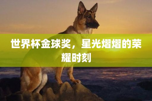 世界杯金球奖，星光熠熠的荣耀时刻