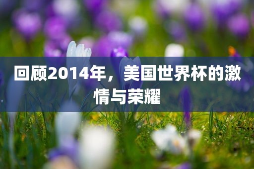 回顾2014年，美国世界杯的激情与荣耀