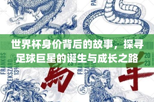 世界杯身价背后的故事，探寻足球巨星的诞生与成长之路