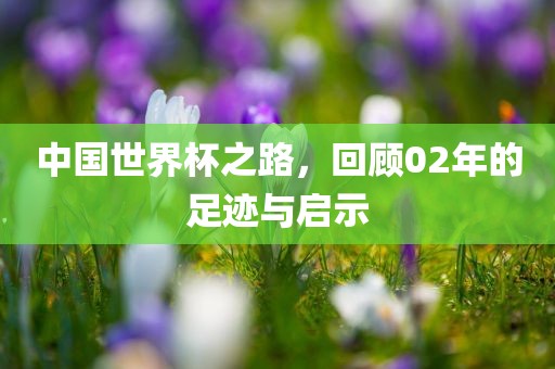 中国世界杯之路，回顾02年的足迹与启示