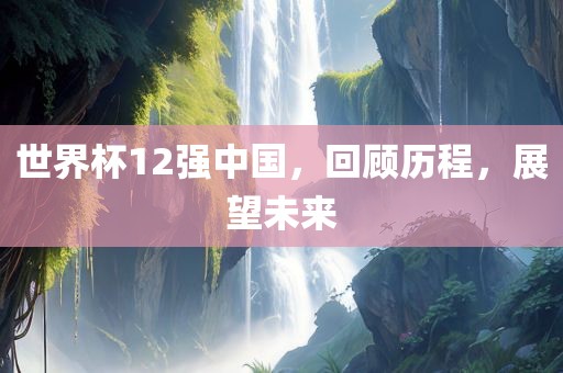 世界杯12强中国，回顾历程，展望未来