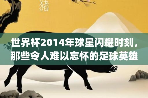 世界杯2014年球星闪耀时刻，那些令人难以忘怀的足球英雄