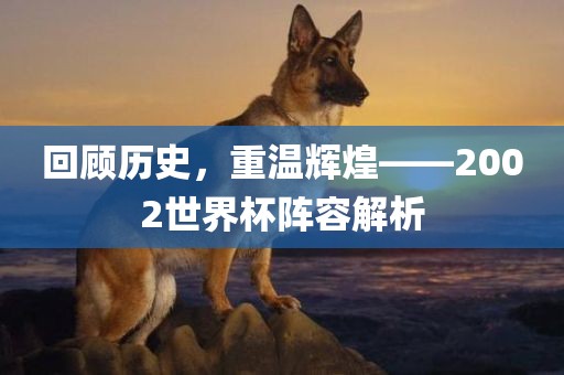回顾历史，重温辉煌——2002世界杯阵容解析