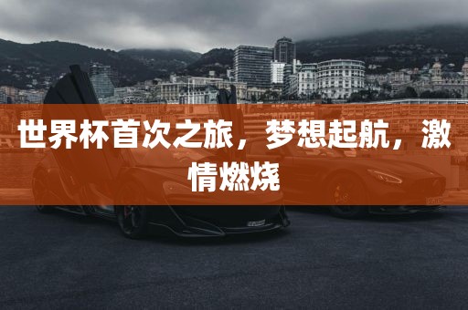 世界杯首次之旅，梦想起航，激情燃烧