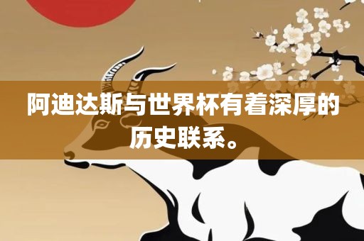 阿迪达斯与世界杯有着深厚的历史联系。