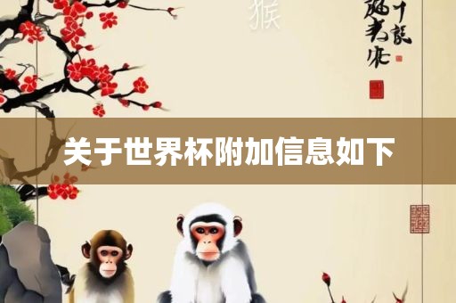 关于世界杯附加信息如下