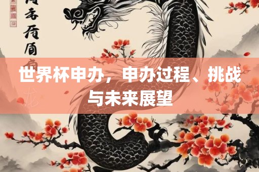 世界杯申办，申办过程、挑战与未来展望