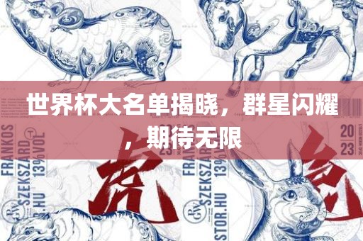 世界杯大名单揭晓，群星闪耀，期待无限洛阳市法福文化传播有限公司