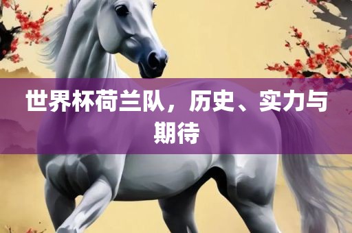 世界杯荷兰队，历史、实力与期待