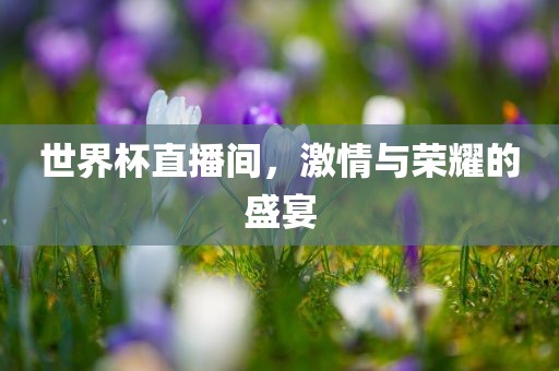 世界杯直播间，激情与荣耀的盛宴洛阳市法福文化传播有限公司