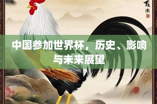 中国参加世界杯，历史、影响与未来展望