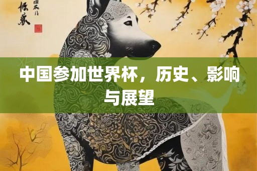 中国参加世界杯，历史、影响与展望