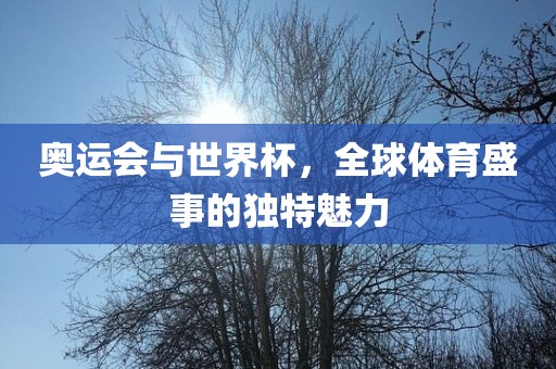 奥运会与世界杯，全球体育盛事的独特魅力
