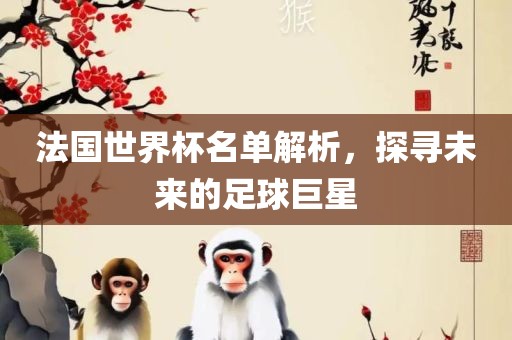 法国世界杯名单解析，探寻未来的足球巨星