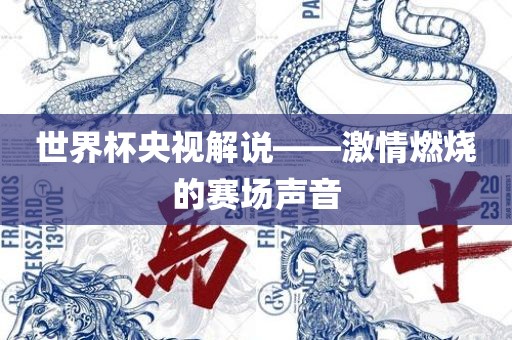 世界杯央视解说——激情燃烧的赛场声音洛阳市法福文化传播有限公司